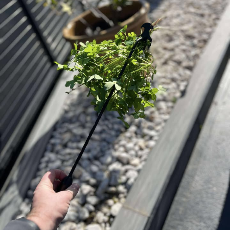 TasmanLush™ Stainless Steel Weed Remover Rake