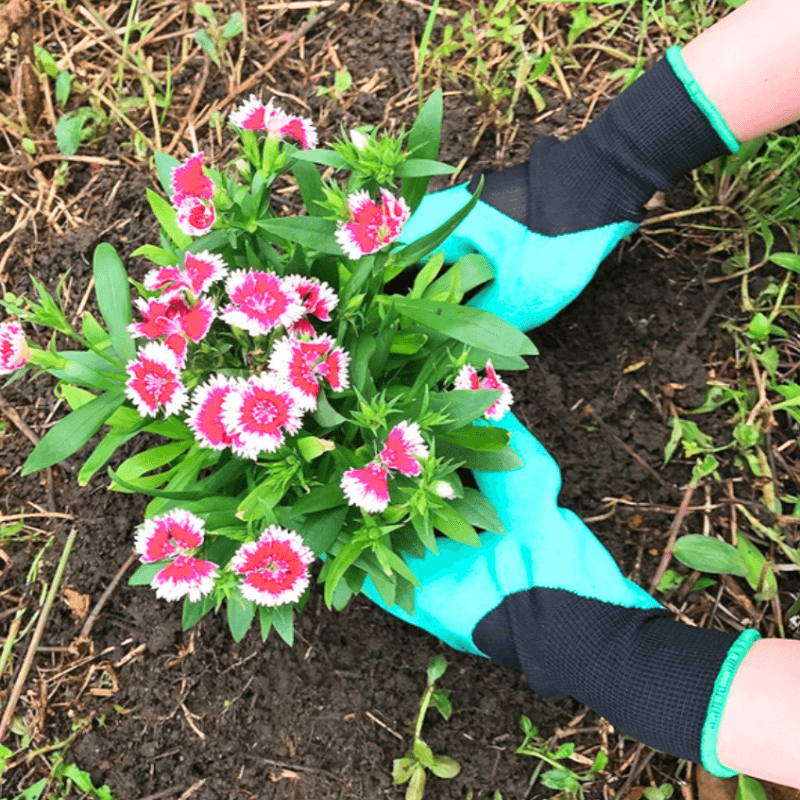 TasmanLush™ Clawed Gardening Gloves