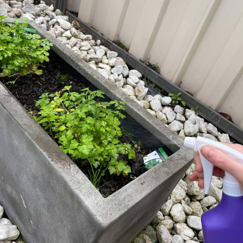 TasmanLush™ Gardening Tool Kit