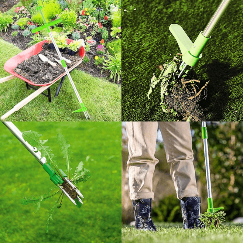 TasmanLush™ Standing Weed Puller