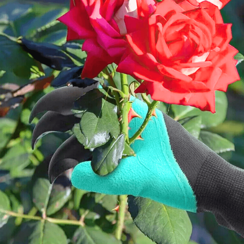 TasmanLush™ Garden Gladiator Pack
