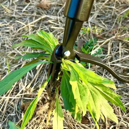 TasmanLush™ Standing Weed Puller Pro