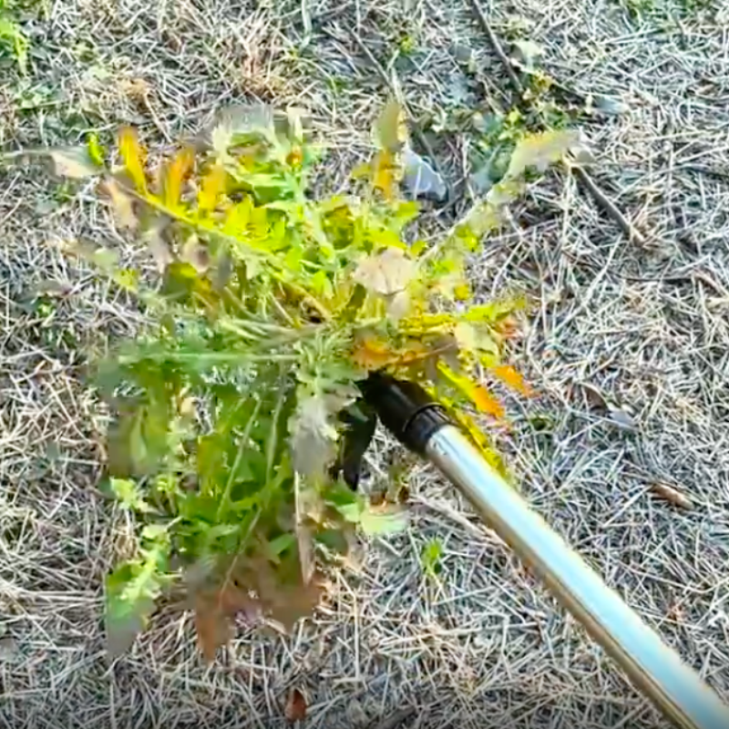 TasmanLush™ Standing Weed Puller Pro