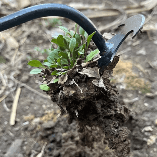TasmanLush™ Stainless Steel Weed Remover Rake